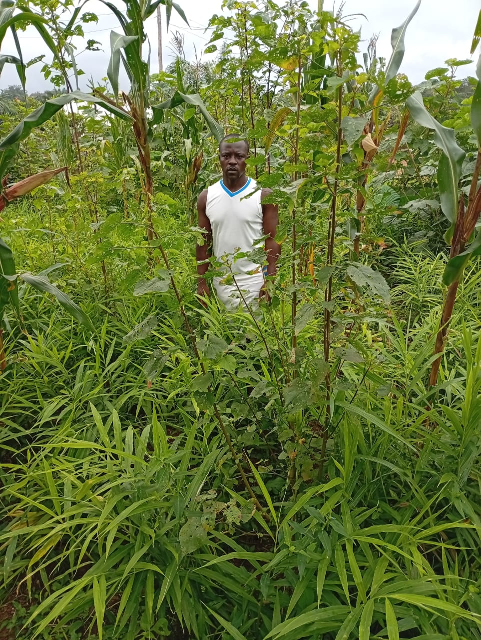 Samuel Ezekiel Daniel